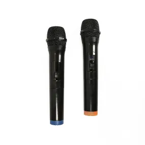 2x Wireless Cardioid Microphones w/ Receiver & Display