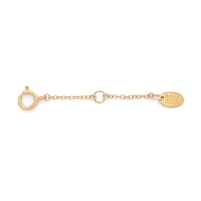 Delicate Chain Extender Gold