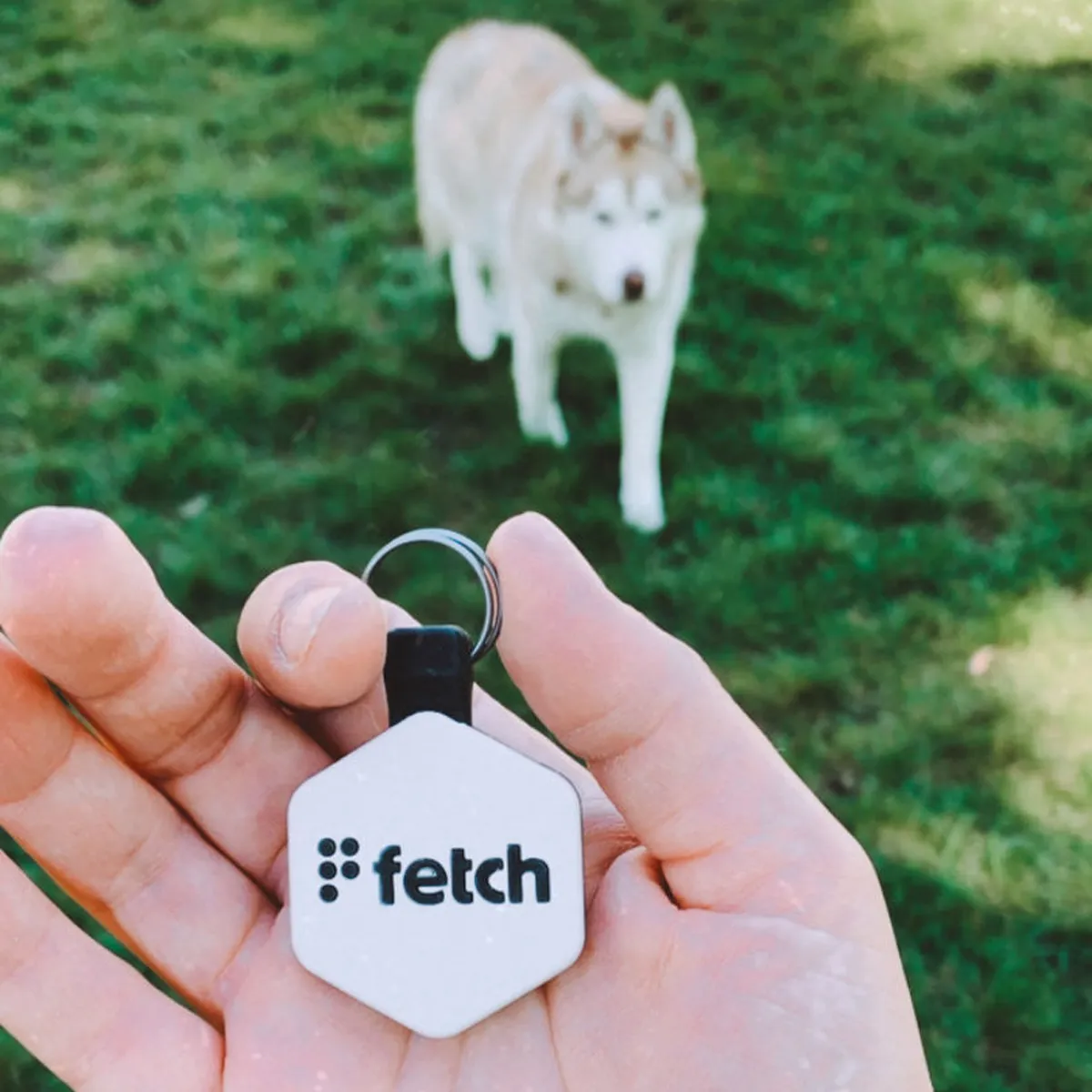 Easy Green Fetch®