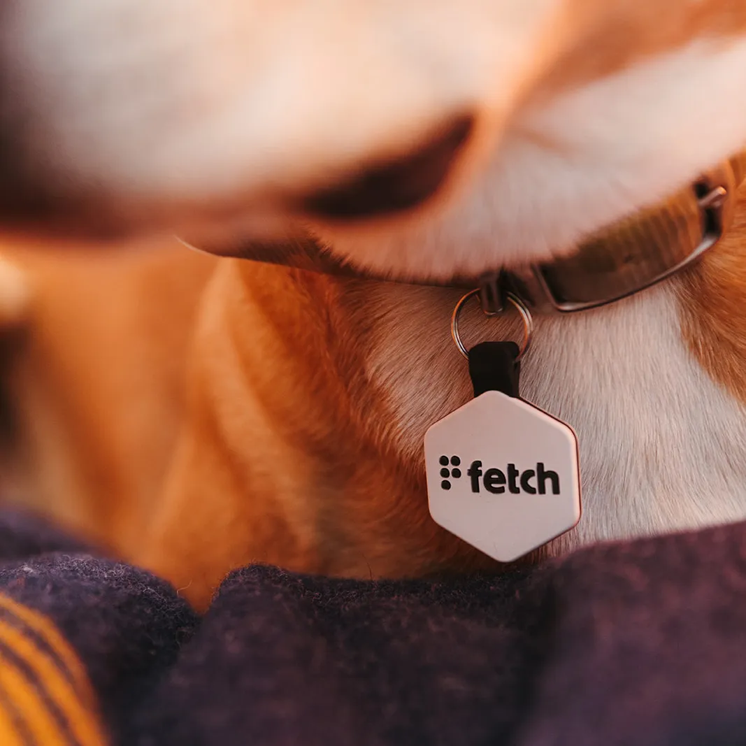 Easy Green Fetch®