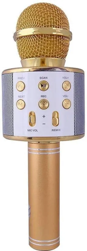 Handheld Wireless Microphone Mic With Audio Recording Bluetooth Speaker & Karaoke Feature(WS-858)