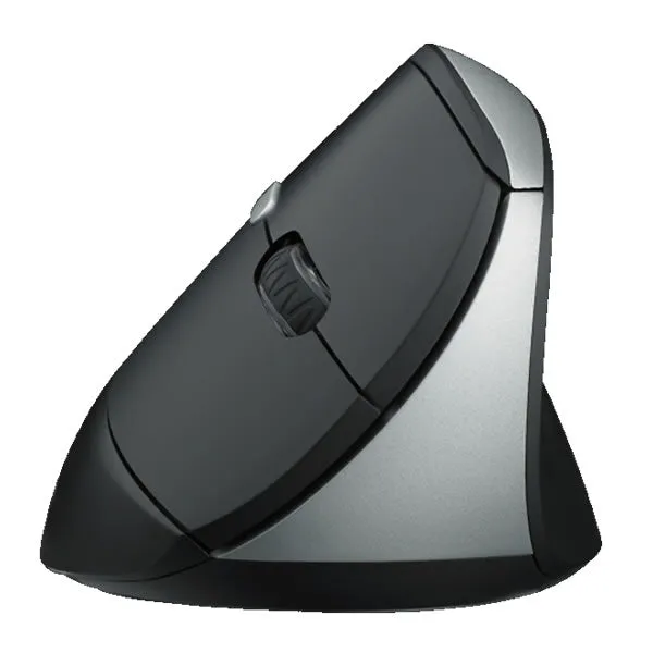 Rapoo EV250 Wireless Ergonomic Mouse