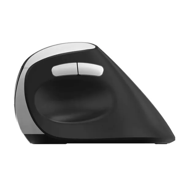 Rapoo EV250 Wireless Ergonomic Mouse