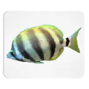 Striped Fish Mouse Pad (EU)