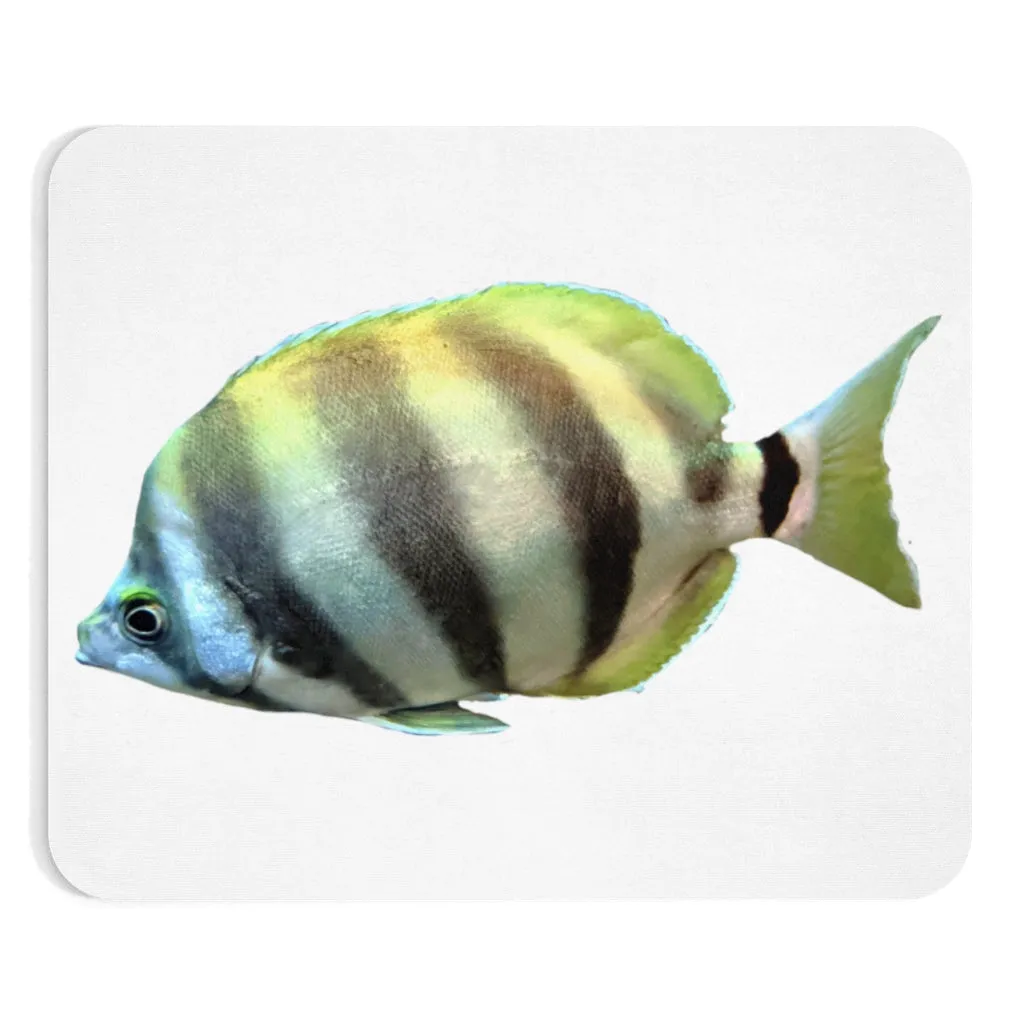 Striped Fish Mouse Pad (EU)