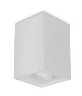 SURFACE: GU10 Square Gimbal Surface Mounted Ceiling Downlights