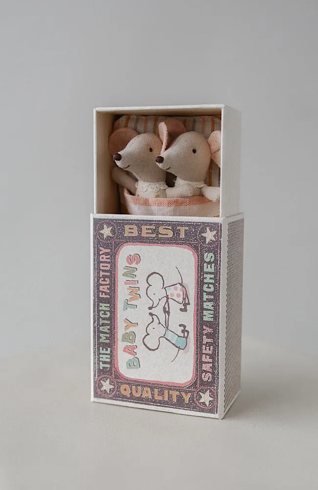 Twins - Baby Mice in Matchbox