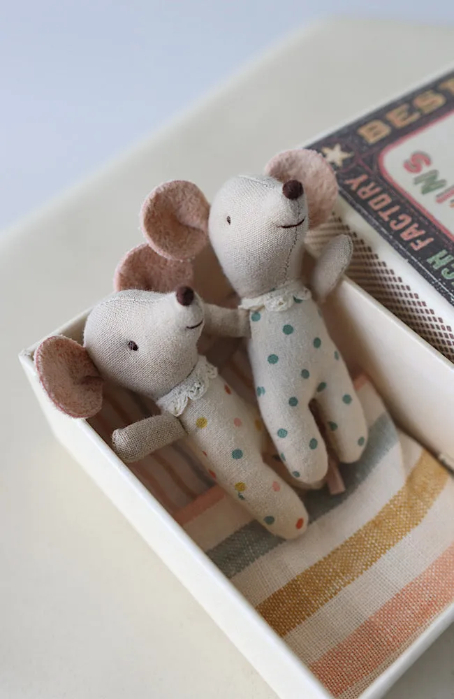 Twins - Baby Mice in Matchbox