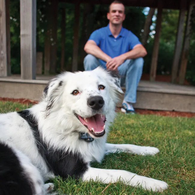 Wireless Pet Containment™ System Add-A-Dog® Extra Receiver Collar